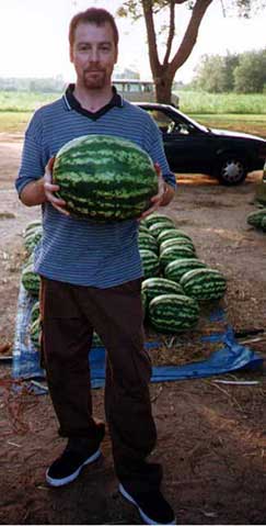 watermelon